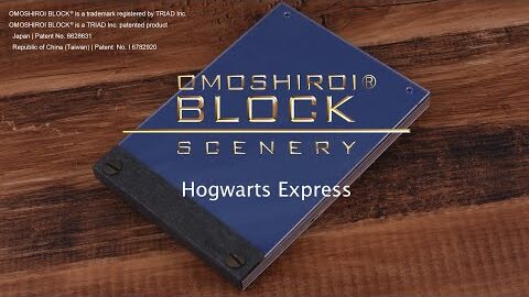 313 OMOSHIROI BLOCK ｜ SCENERY ｜Harry Potter｜ hogwarts express